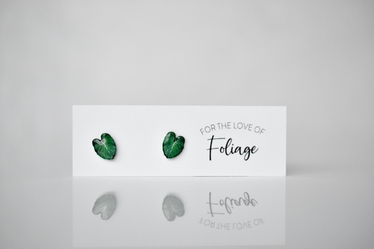 Philodendron Gloriosum Stud Earrings | Leaf Earrings