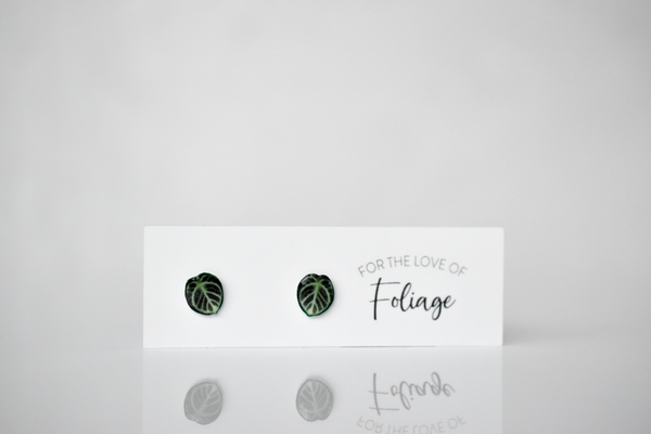 Anthurium Dorayaki Stud Earrings | Leaf Earrings