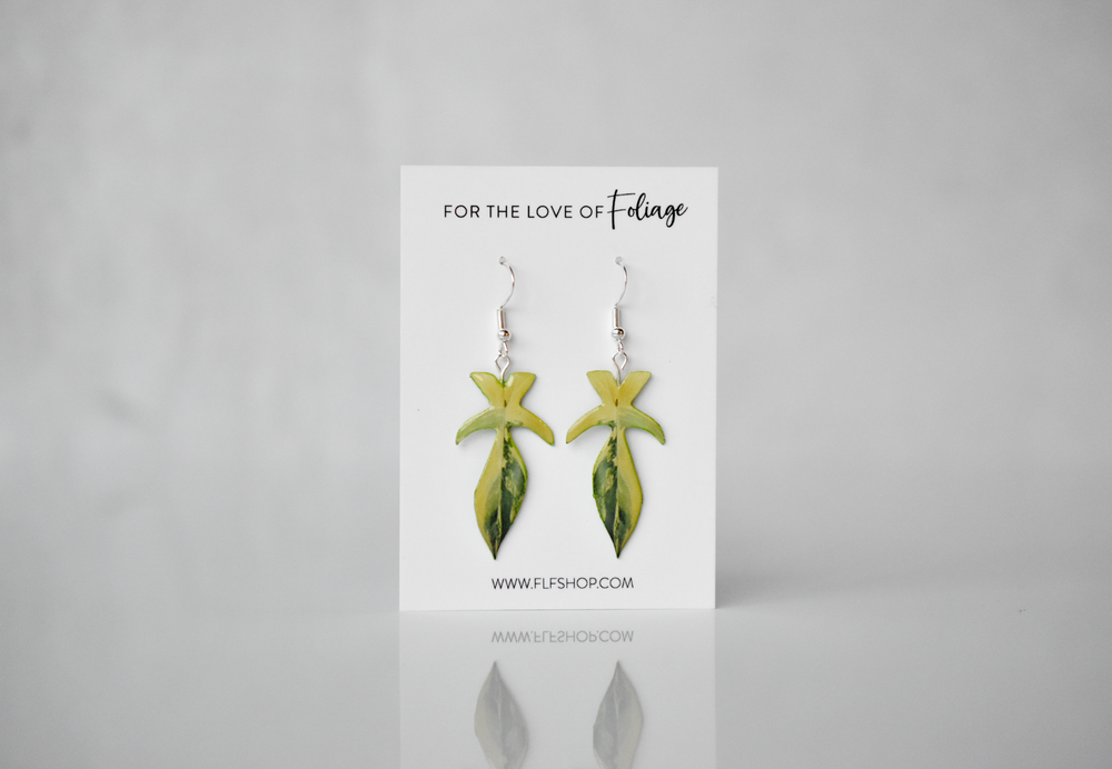 Philodendron Florida Beauty Plant Earrings | Leaf Earrings