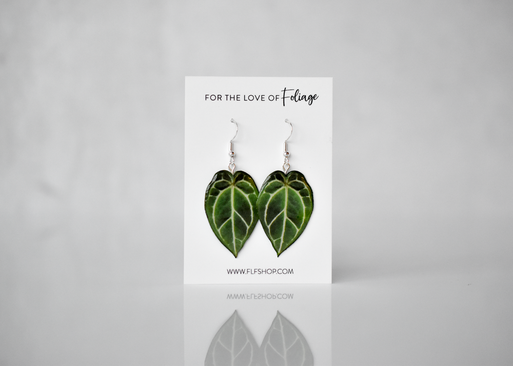 Anthurium Crystallinum Plant Earrings | Leaf Earrings