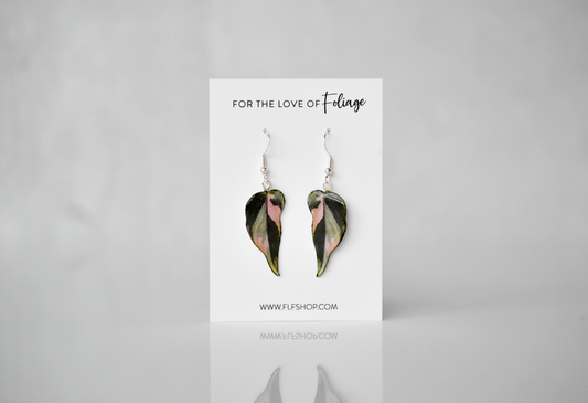 Philodendron Pink Princess "PPP" Camo Plant Earrings | Leaf Earrings