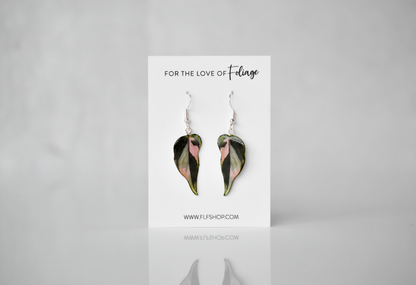 Philodendron Pink Princess "PPP" Camo Plant Earrings | Leaf Earrings