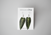 Products Philodendron Melanochrysum || Handmade Leaf Earrings || Plant Earrings || Sterling Silver Earrings