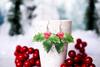 Holly Berry Bunch Plant Earrings | Leaf Earrings