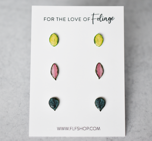 Hoya Stud Earring 3-Pack | Leaf Earrings | Hoya Krimson Princess | Hoya Lisa | Hoya Krohniana Silver