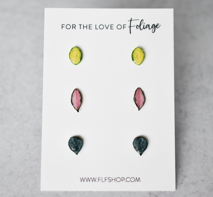 Hoya Stud Earring 3-Pack | Leaf Earrings | Hoya Krimson Princess | Hoya Lisa | Hoya Krohniana Silver