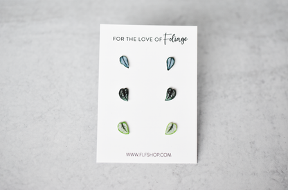 Scindapsus Stud Earring 3-Pack | Leaf Earrings | Satin Pothos | Argyraeus | Exotica | Treubii Moonlight