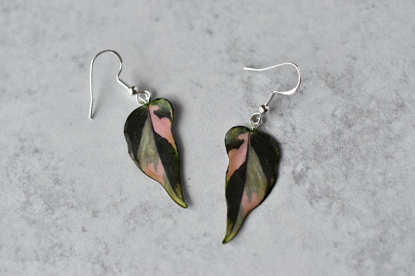 Philodendron Pink Princess "PPP" Camo Plant Earrings | Leaf Earrings