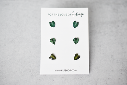 Philodendron Stud Earring 3-Pack | Leaf Earrings | Gloriosum | Verrucosum | Mameii