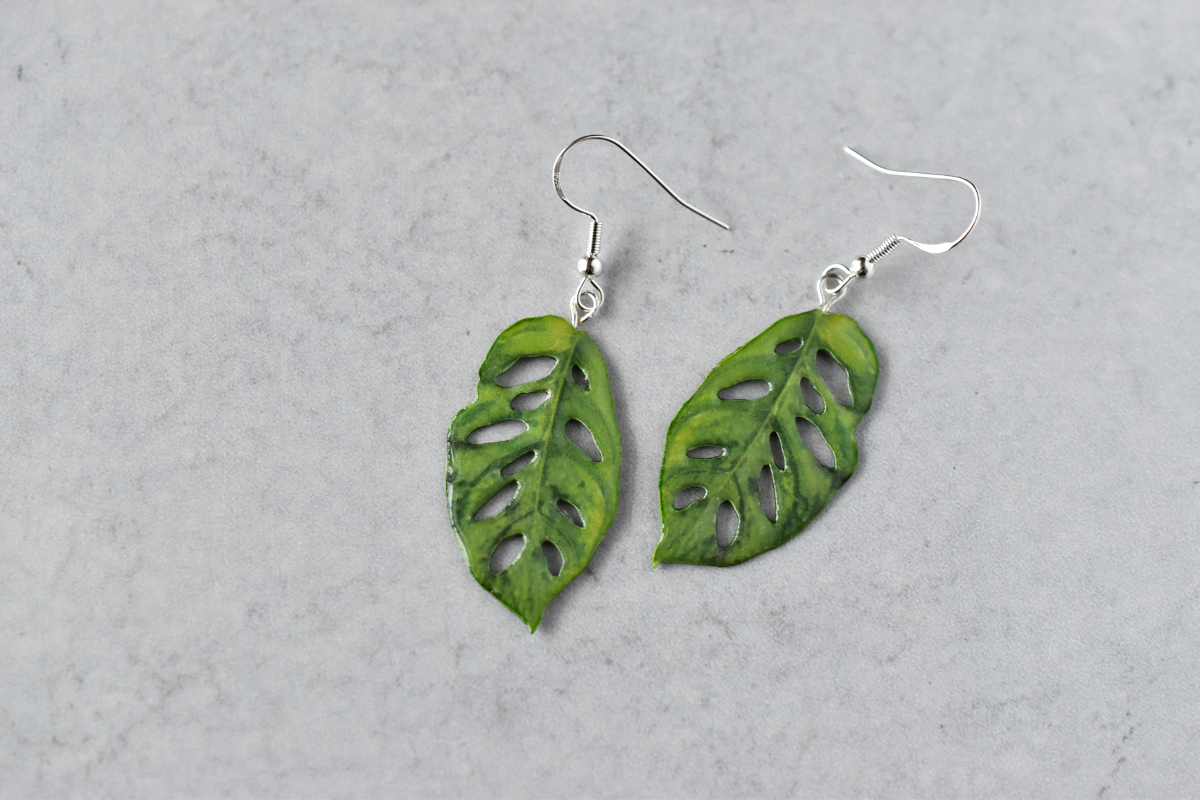 hanging plant earrings Monstera Adansonii “Swiss Cheese” Plant Earrings