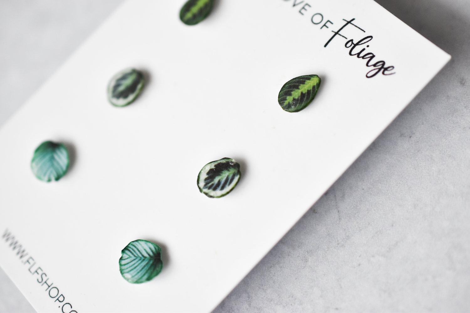 Calathea Stud Earring 3-Pack | Leaf Earrings | Lemon Lime Maranta | Marion | Orbifolia