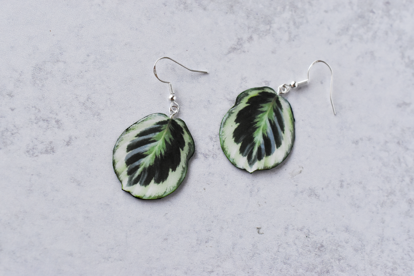Calathea Roseopicta “Marion” Plant Earrings | Leaf Earrings
