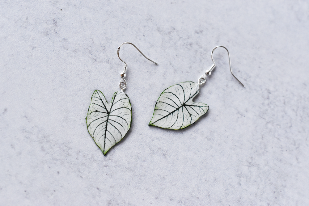 Caladium "White Christmas" Plant Earrings | Leaf Earrings