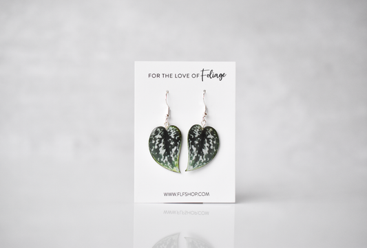 Scindapsus Argyraeus "Satin Pothos" Plant Earrings | Leaf Earrings