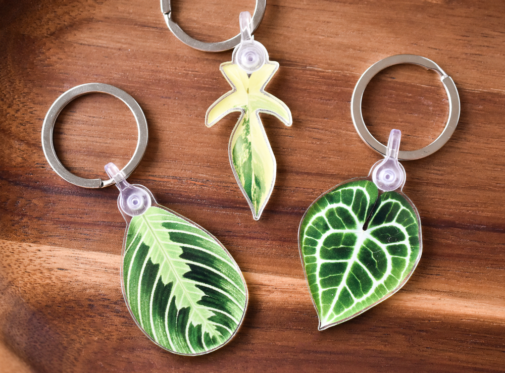 Maranta Lemon Lime Acrylic Leaf Keychain