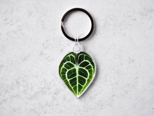 Anthurium Clarinervium Leaf Keychain