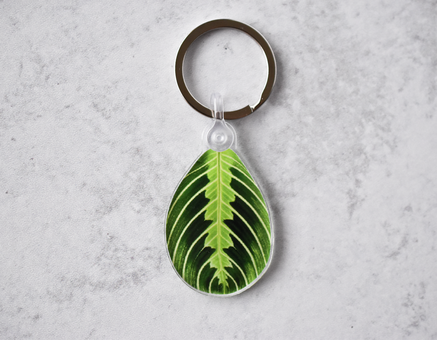 Maranta Lemon Lime Acrylic Leaf Keychain
