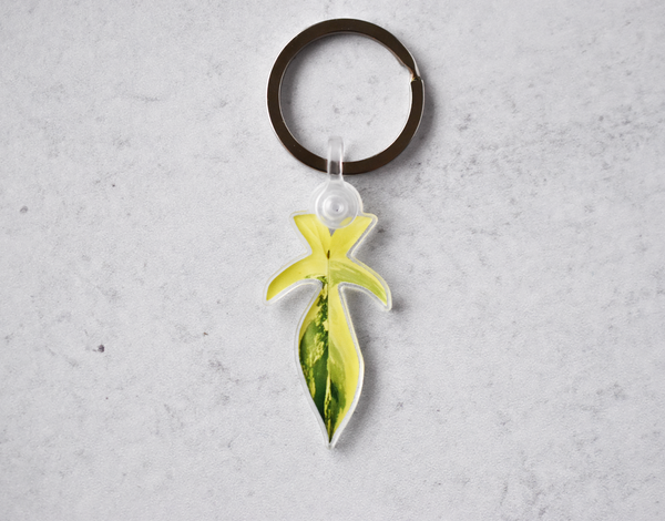 Philodendron Florida Beauty Leaf Keychain