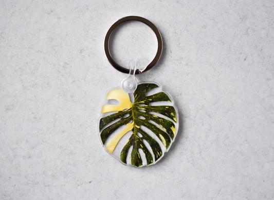 Monstera Thai Constellation Acrylic Leaf Keychain