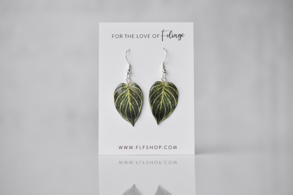 Philodendron Birkin Plant Earrings | Leaf Earrings