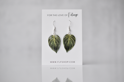 Philodendron Birkin Plant Earrings | Leaf Earrings