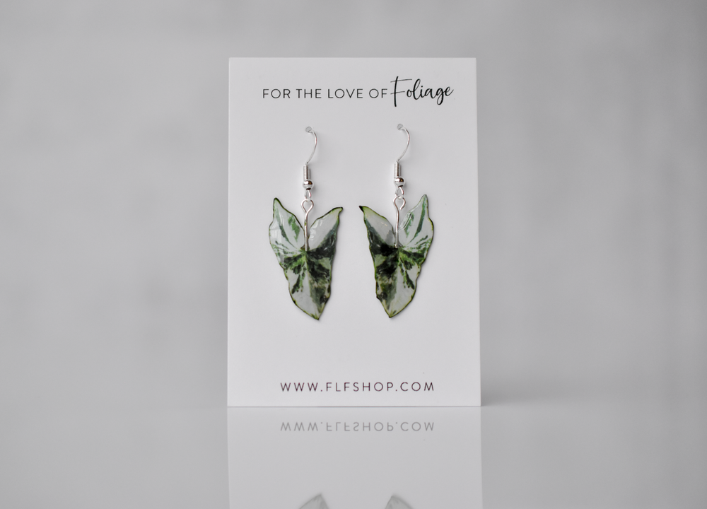 Syngonium Albo Plant Earrings | Leaf Earrings