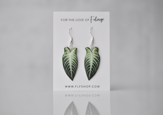 Caladium Lindenii Plant Earrings | Leaf Earrings