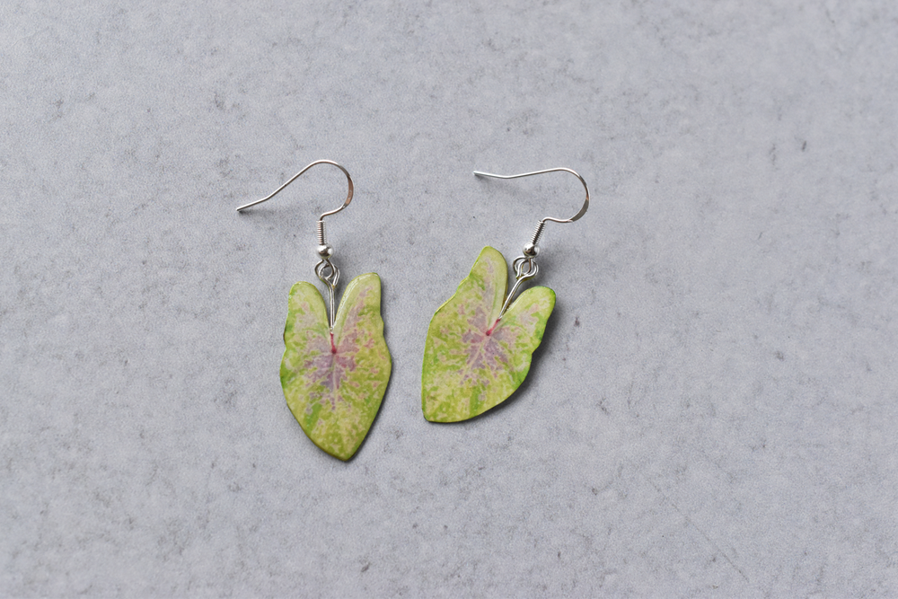 Caladium "Sea Foam Pink" Plant Earrings | Leaf Earrings