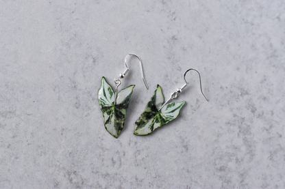 Syngonium Albo Plant Earrings | Leaf Earrings