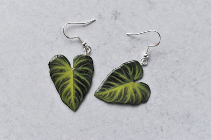 Philodendron Verrucosum || Handmade Leaf Earrings || Plant Earrings || Sterling Silver Earrings