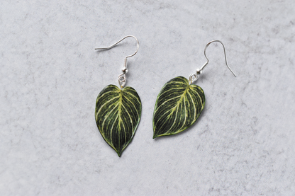 Philodendron Birkin Plant Earrings | Leaf Earrings