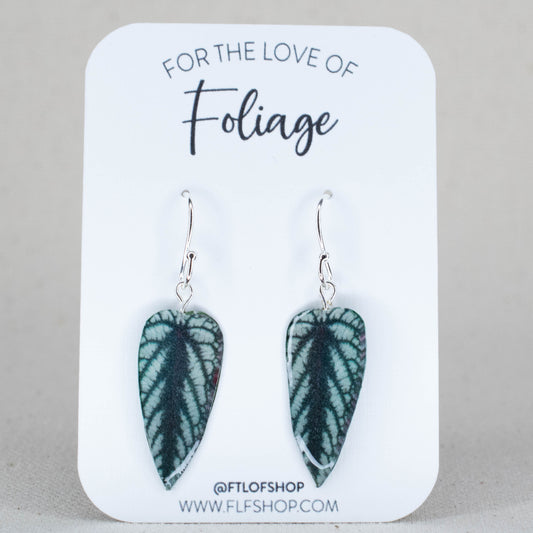 Cissus Javana “Discolor” Plant Earrings | Leaf Earrings