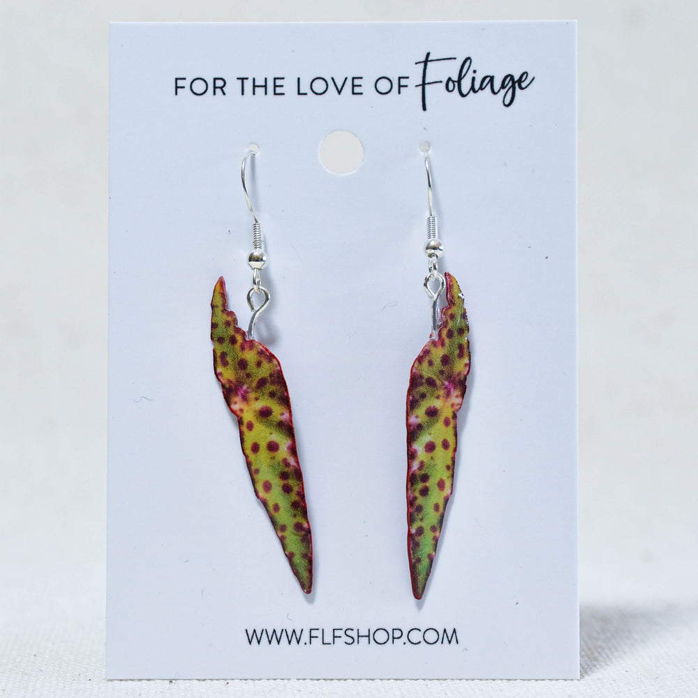 Begonia Amphioxus Plant Earrings | Leaf Earrings