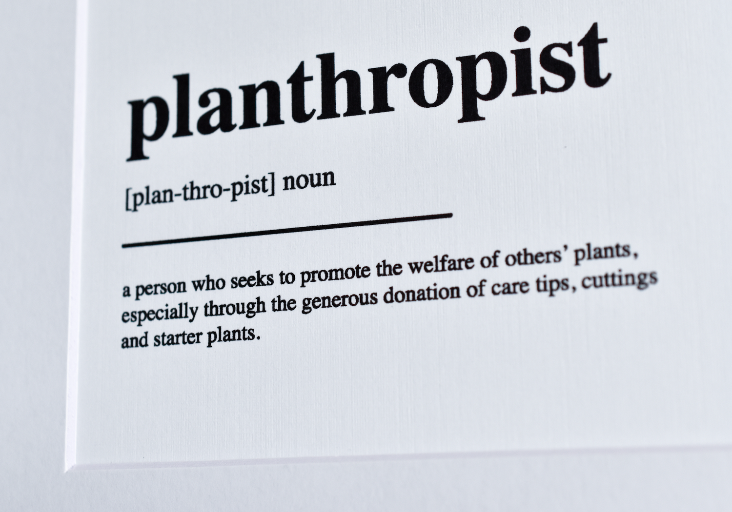 Planthropist Definition Wall Art Print | Print Decor for Plant Lovers