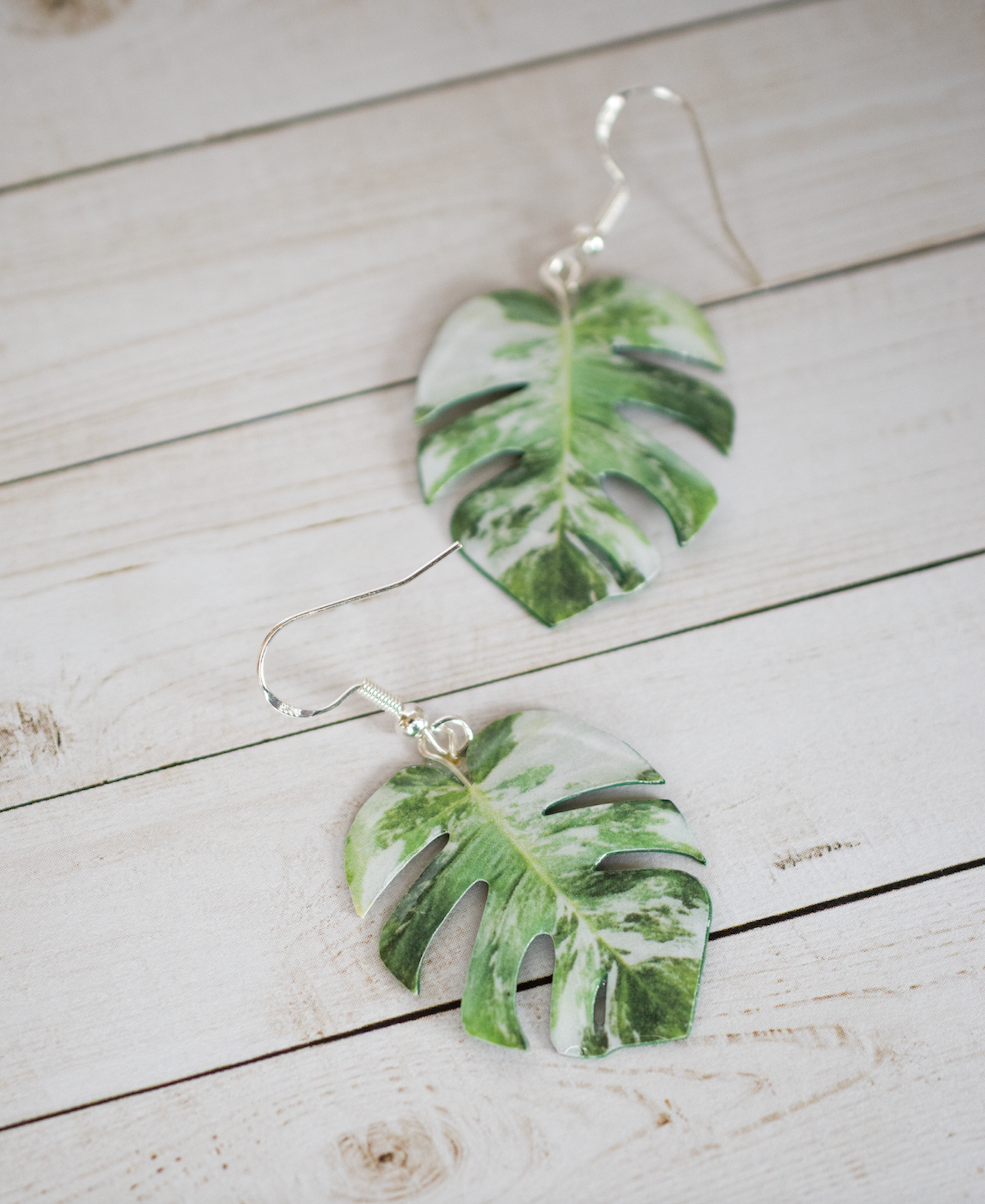 monstera plant earrings Monstera Albo Marbled Plant Earrings