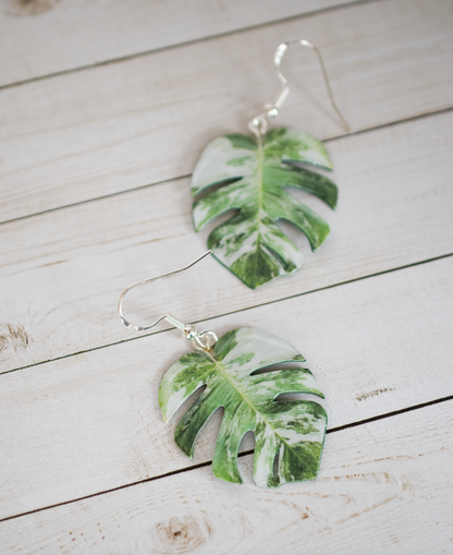 Monstera Albo Marbled Plant Earrings | Leaf Earrings