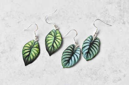 Alocasia Silver Dragon Plant Earrings | Leaf Earrings