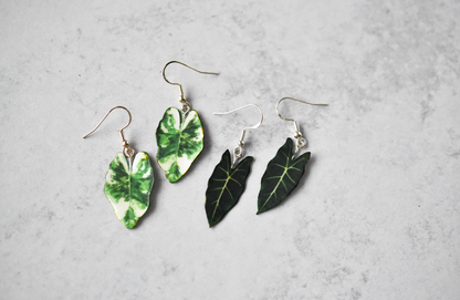 Variegated Alocasia Macrorrhiza Plant Earrings | Leaf Earrings