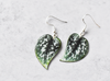 Scindapsus Argyraeus "Satin Pothos" Plant Earrings | Leaf Earrings