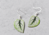 Scindapsus Pictus "Exotica" Plant Earrings | Leaf Earrings