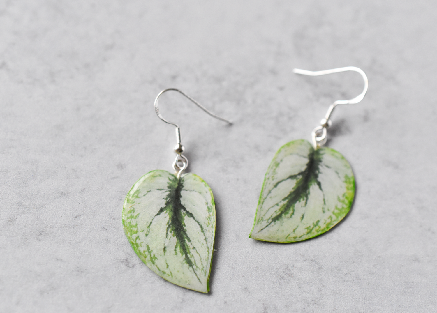 Scindapsus Pictus "Exotica" Plant Earrings | Leaf Earrings