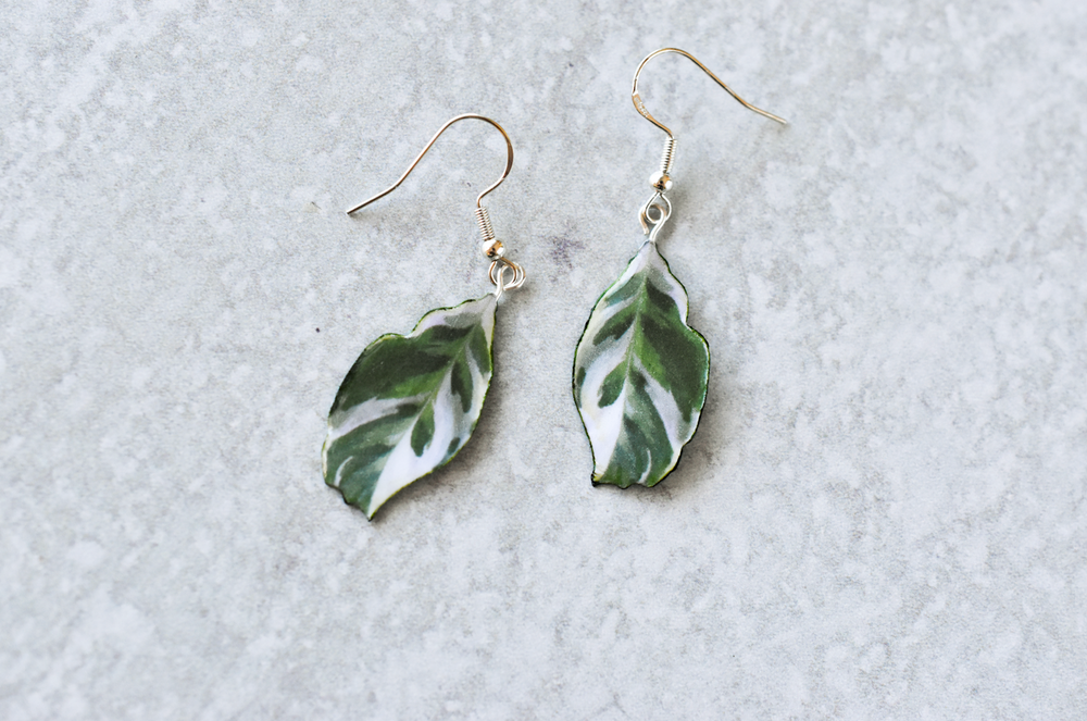 Calathea White Fusion Plant Earrings | Leaf Earrings