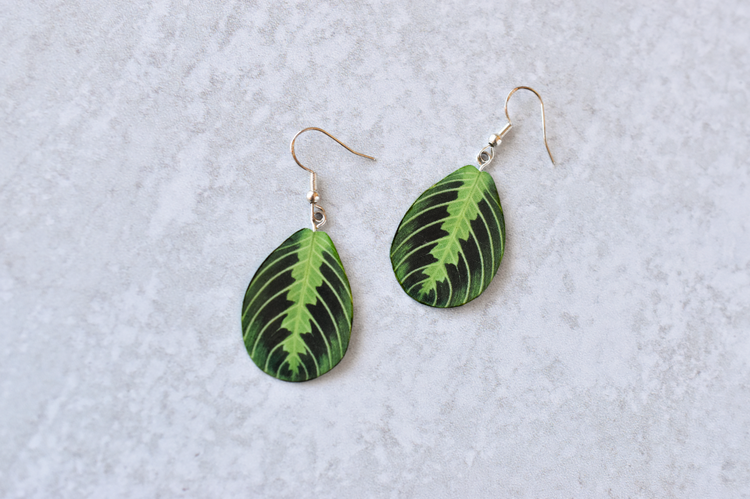 Lemon Lime Maranta Plant Earrings | Leaf Earrings