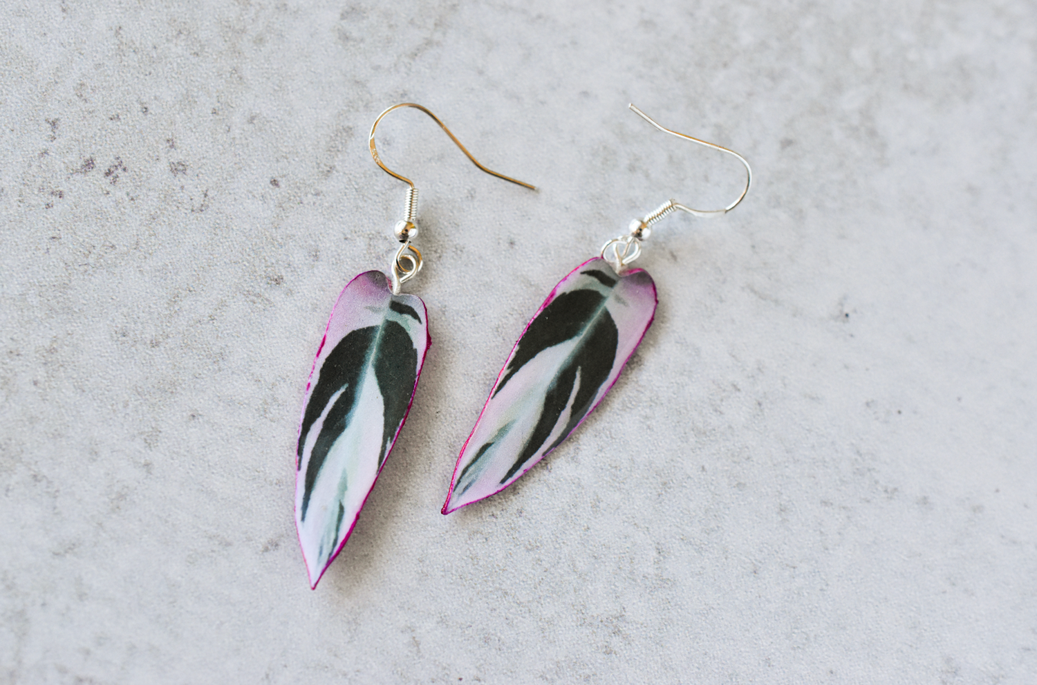 Stromanthe Triostar Plant Earrings | Leaf Earrings