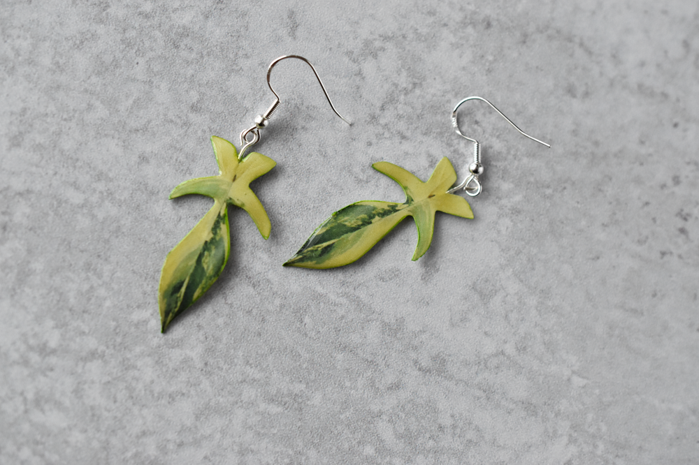 Philodendron Florida Beauty Plant Earrings | Leaf Earrings