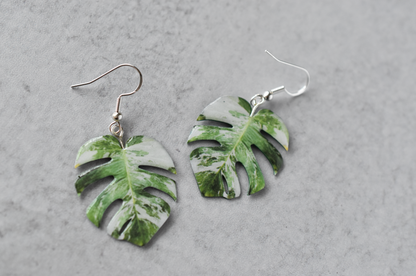 Monstera Albo Marbled Plant Earrings | Leaf Earrings