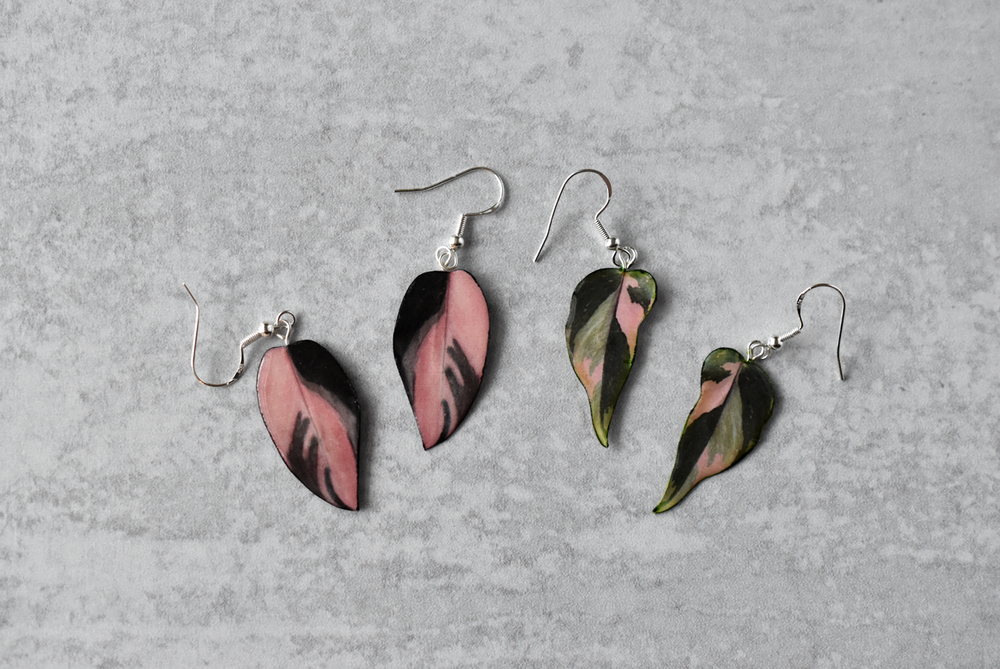 Philodendron Pink Princess "PPP" Camo Plant Earrings | Leaf Earrings