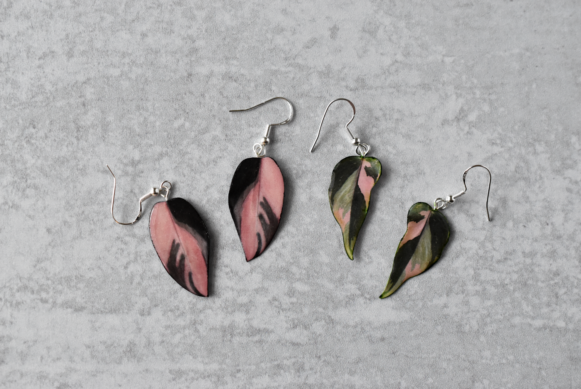 earring philodendron wire Philodendron Pink Princess "PPP" Camo Plant Earrings