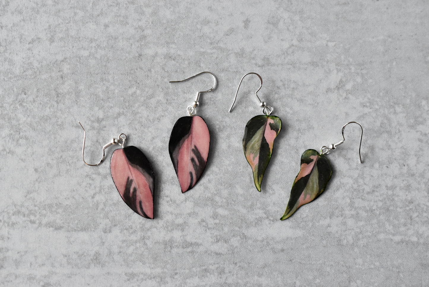 Philodendron Pink Princess "PPP" Camo Plant Earrings | Leaf Earrings