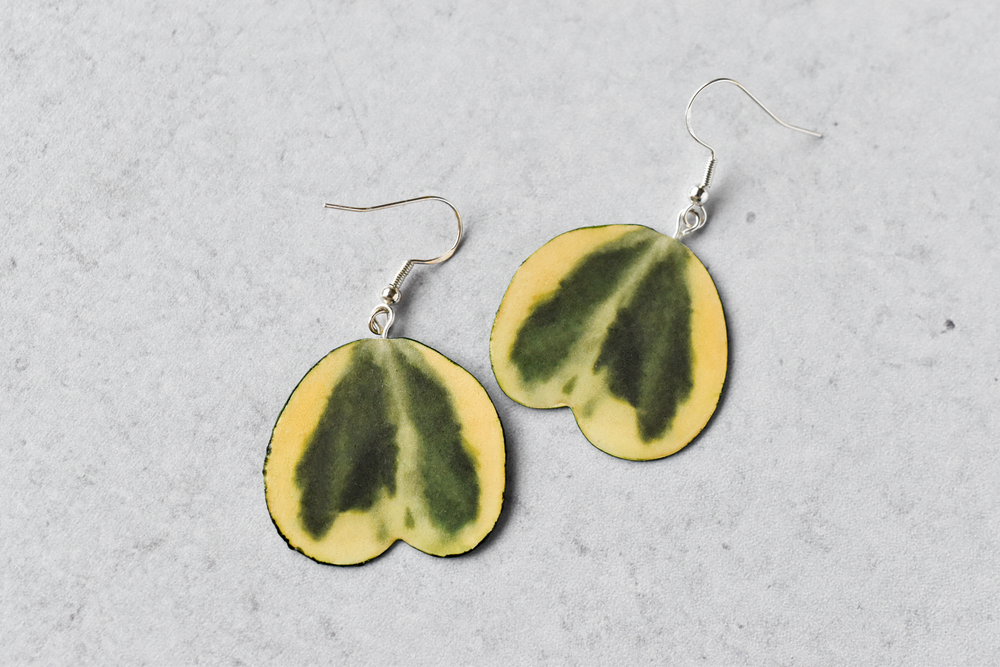Hoya Kerrii Heart Albomarginata Plant Earrings | Leaf Earrings